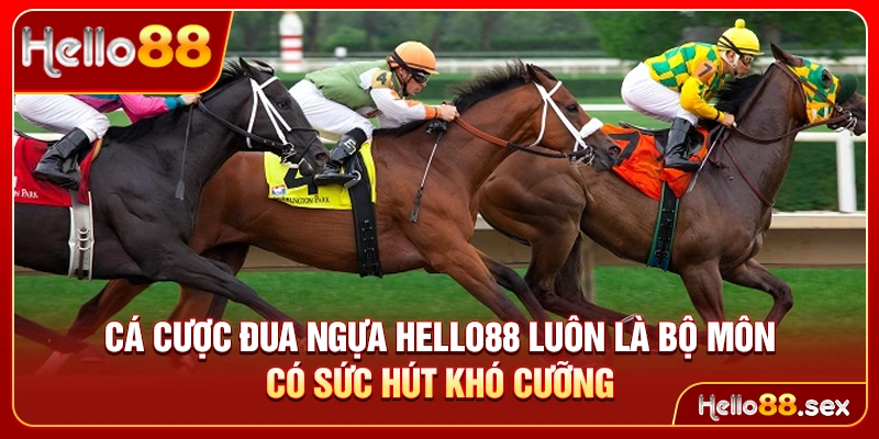 Cá cược đua ngựa Hello88 luôn là bộ môn có sức hút khó cưỡng